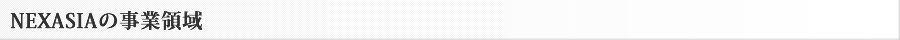 NEXASIAの事業領域