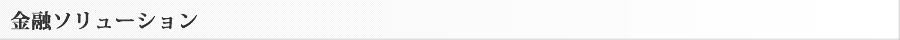 金融ソリューション