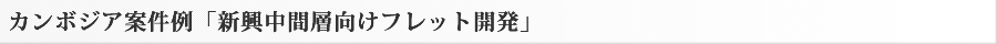 新興中間層向けフレット開発